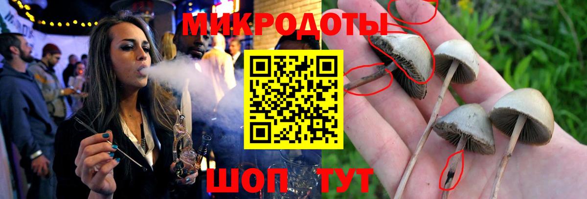 Псилоцибиновые грибы мухоморы  купить наркоту  Вход с VPN  Унеча  Псилоцибиновые грибы ЛСД 